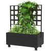 Outsunny Raised Garden Bed with Trellis and Wheels, Outdoor Planter Wooden Elevated Garden Bed for Garden, Patio, Balcony